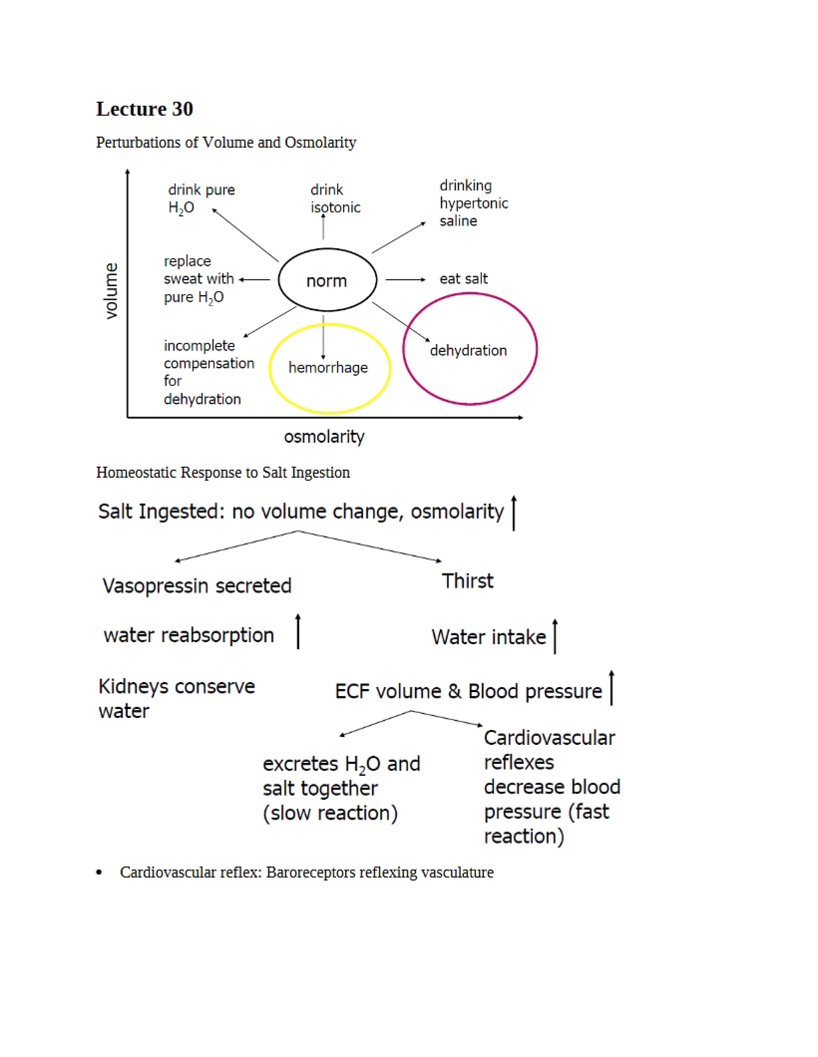 Osmolarity and Volume Perturbations