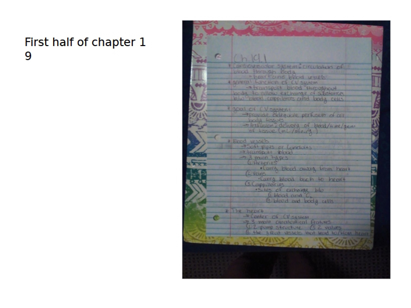 Chapter 19 First Half