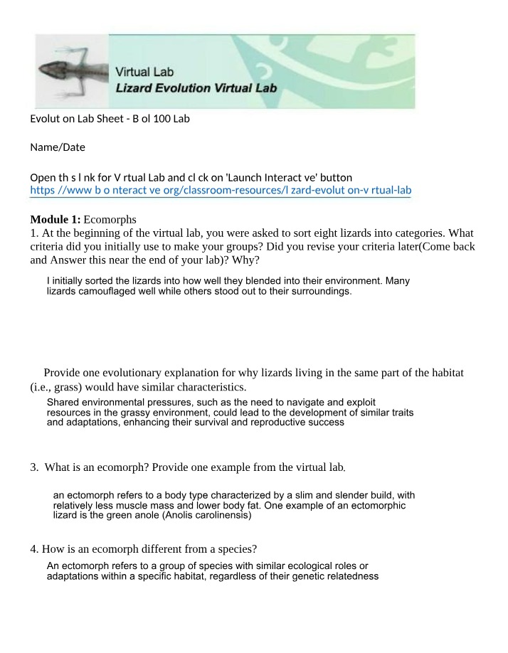 Lizard Evolution Virtual Lab Data - Ecomorphs and Phylogeny