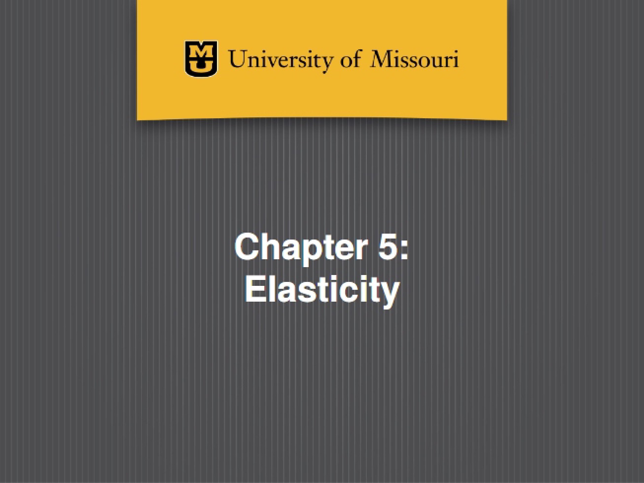 Elasticity Chapter Five Overview
