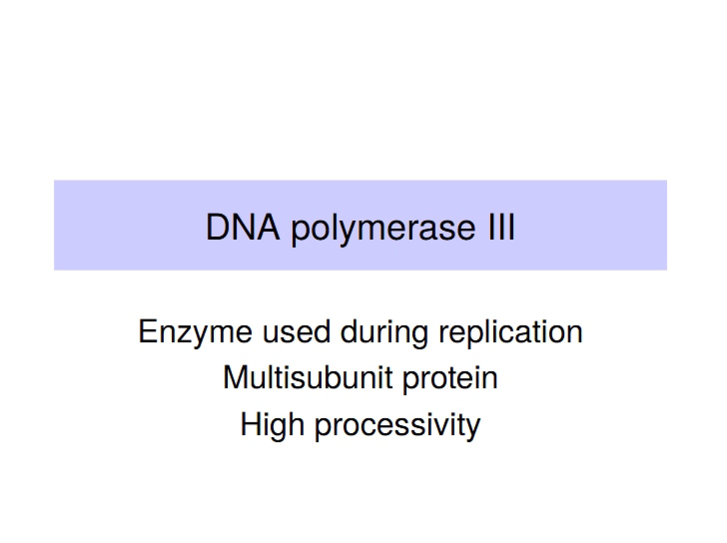 Third DNA Polymerase
