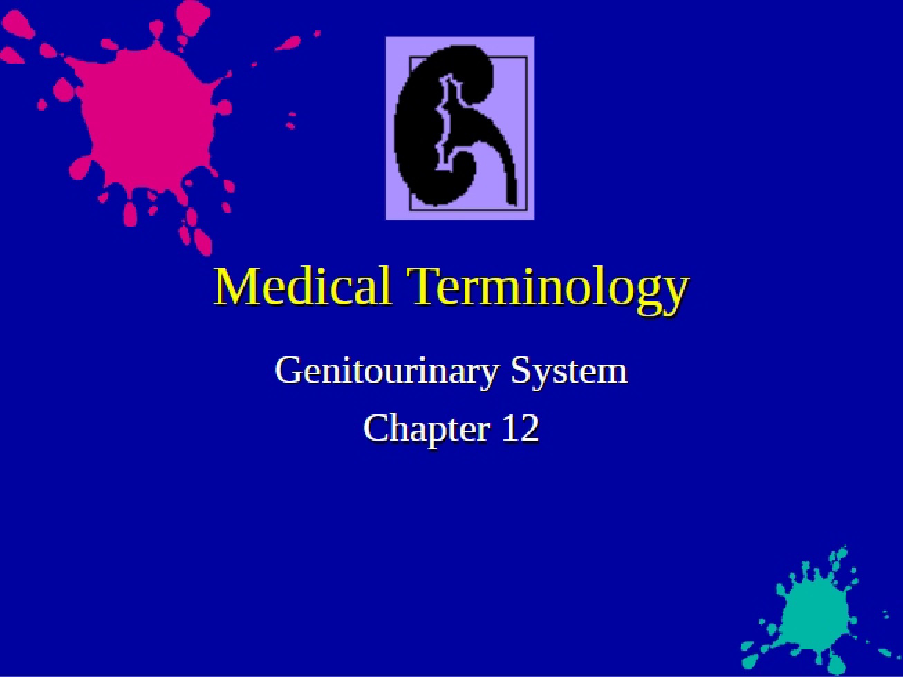 System of the Genitourinary Tract