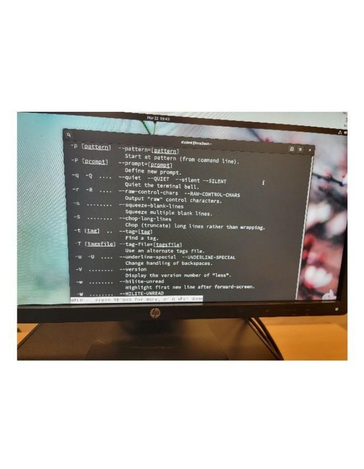 Command Options for Less