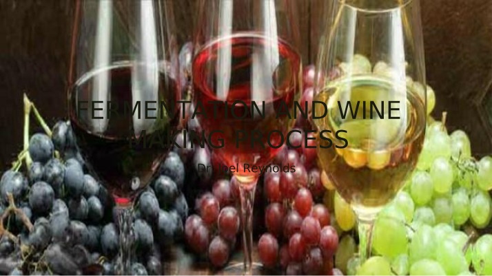 Wine Making and Fermentation Process