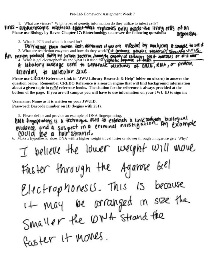 Week 7 Pre-Lab Homework Assignment
