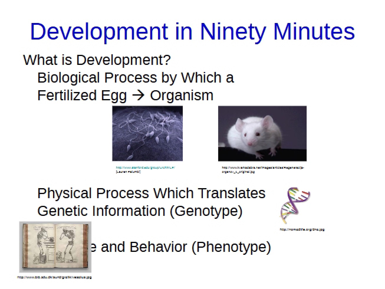 Ninety Minute Development