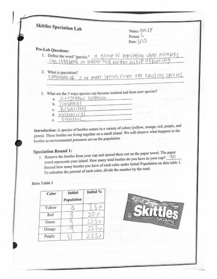 Speciation Lab using Skittles