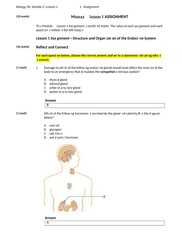 Endocrine System Assignment - Structure and Function