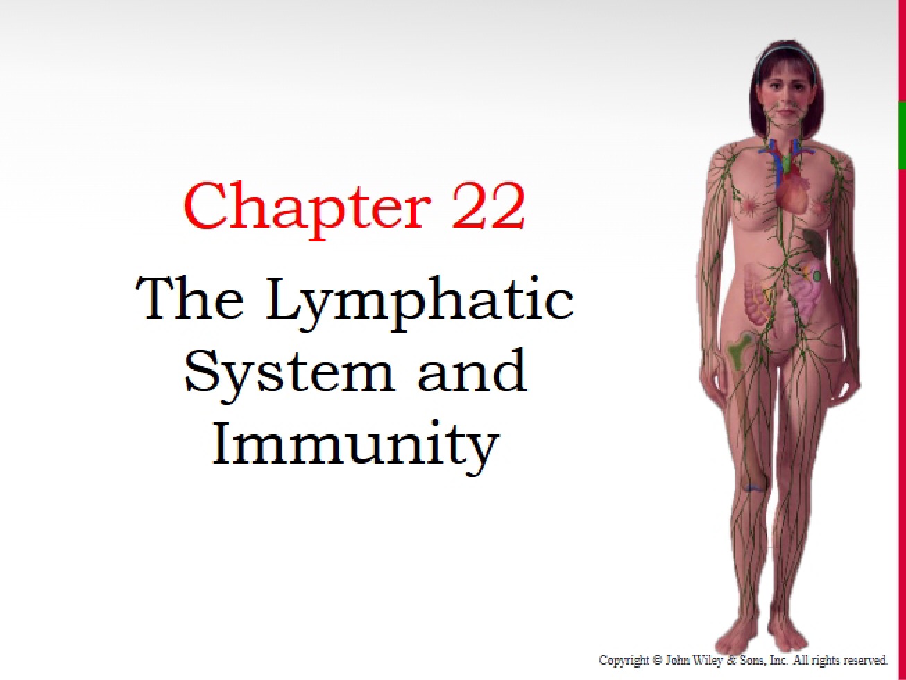 Human Anatomy & Physiology Chapter Twenty-Two