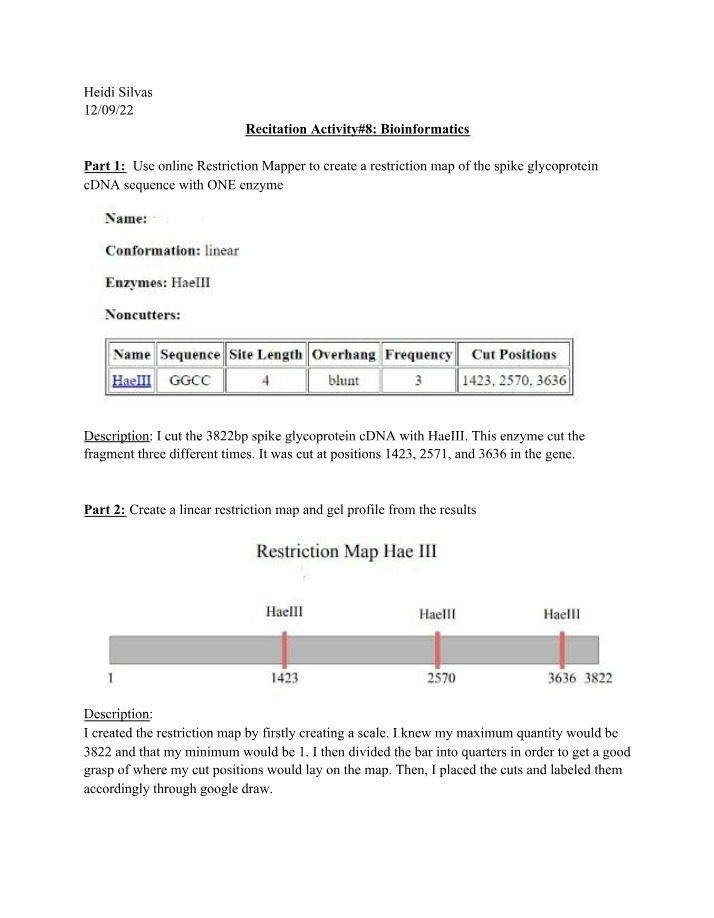 Restriction Map and Gel Profile - Spike