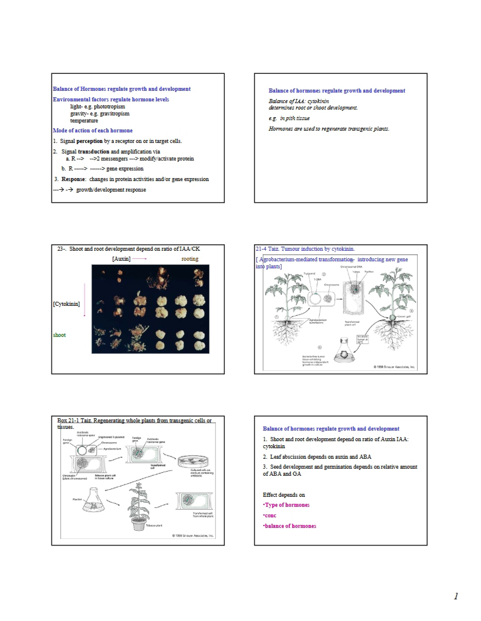 Regulation of Growth and Development by Hormone Balance