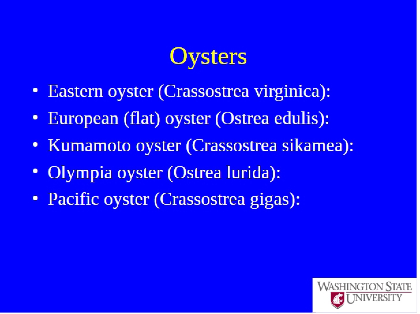 Oyster Overview