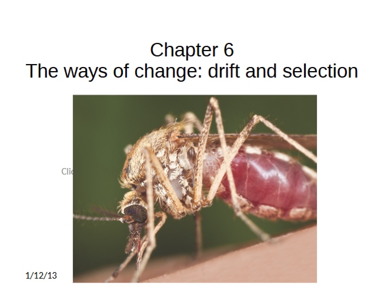 Chapter Six Evolution Overview