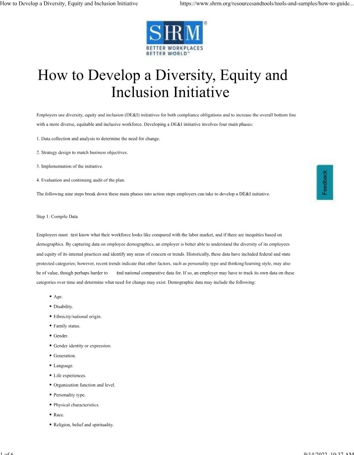 Developing a Diversity, Equity, and Inclusion Initiative