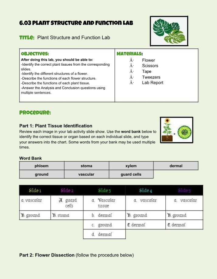 Lab on Plant Structure and Function