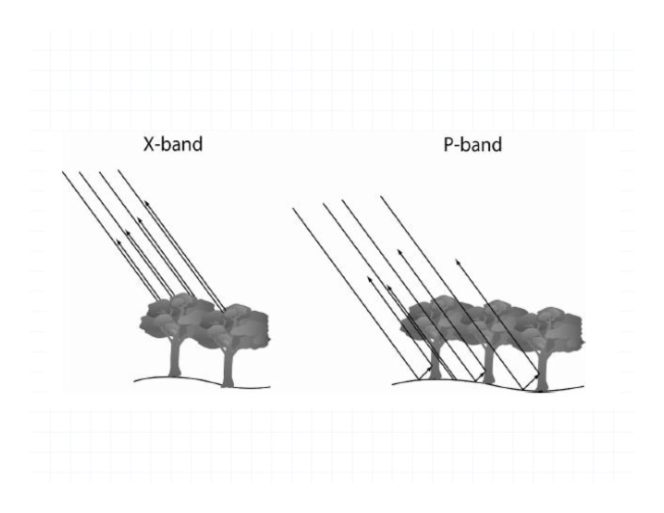 Distortion in Images