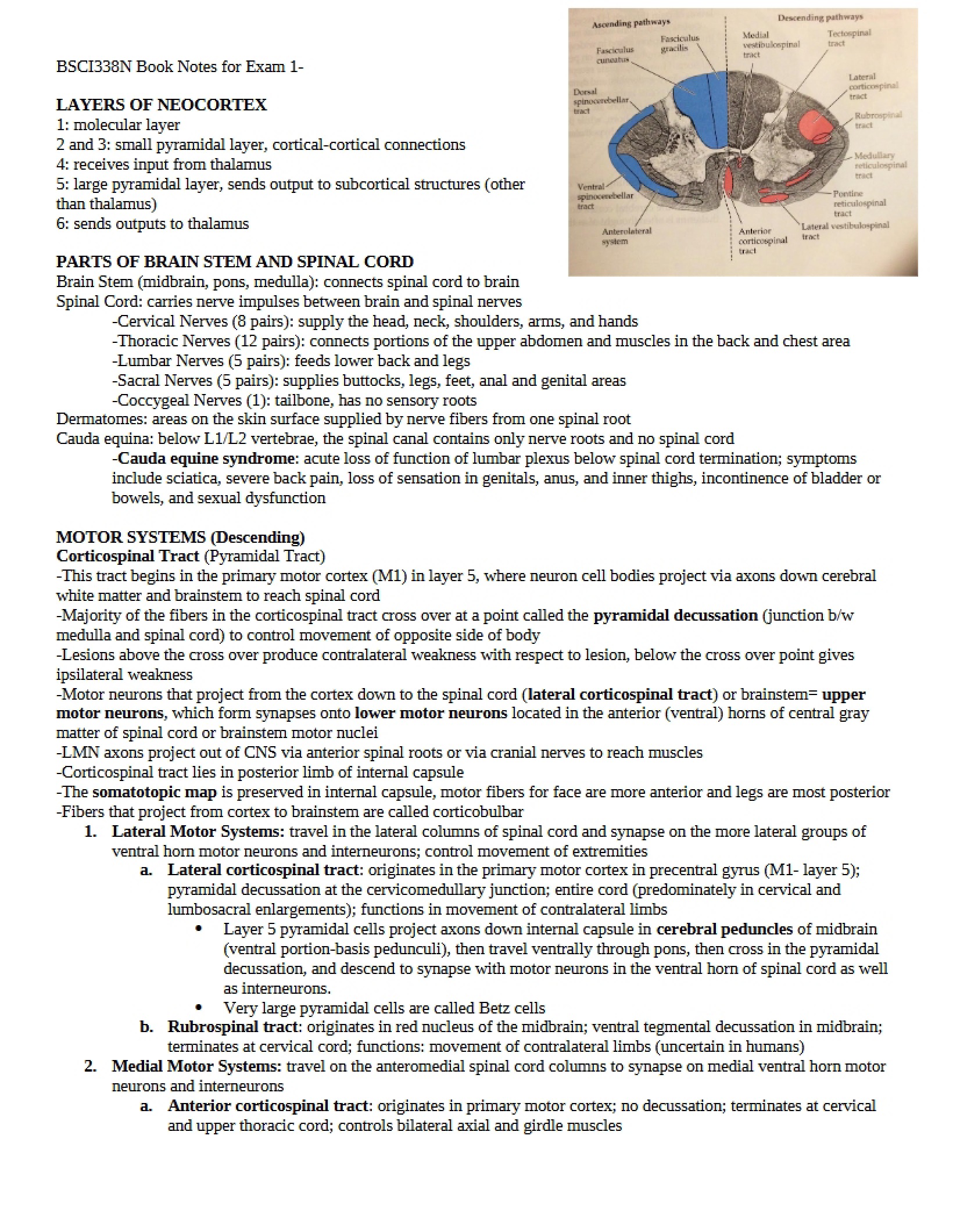 Textbook Summaries for Initial Assessment