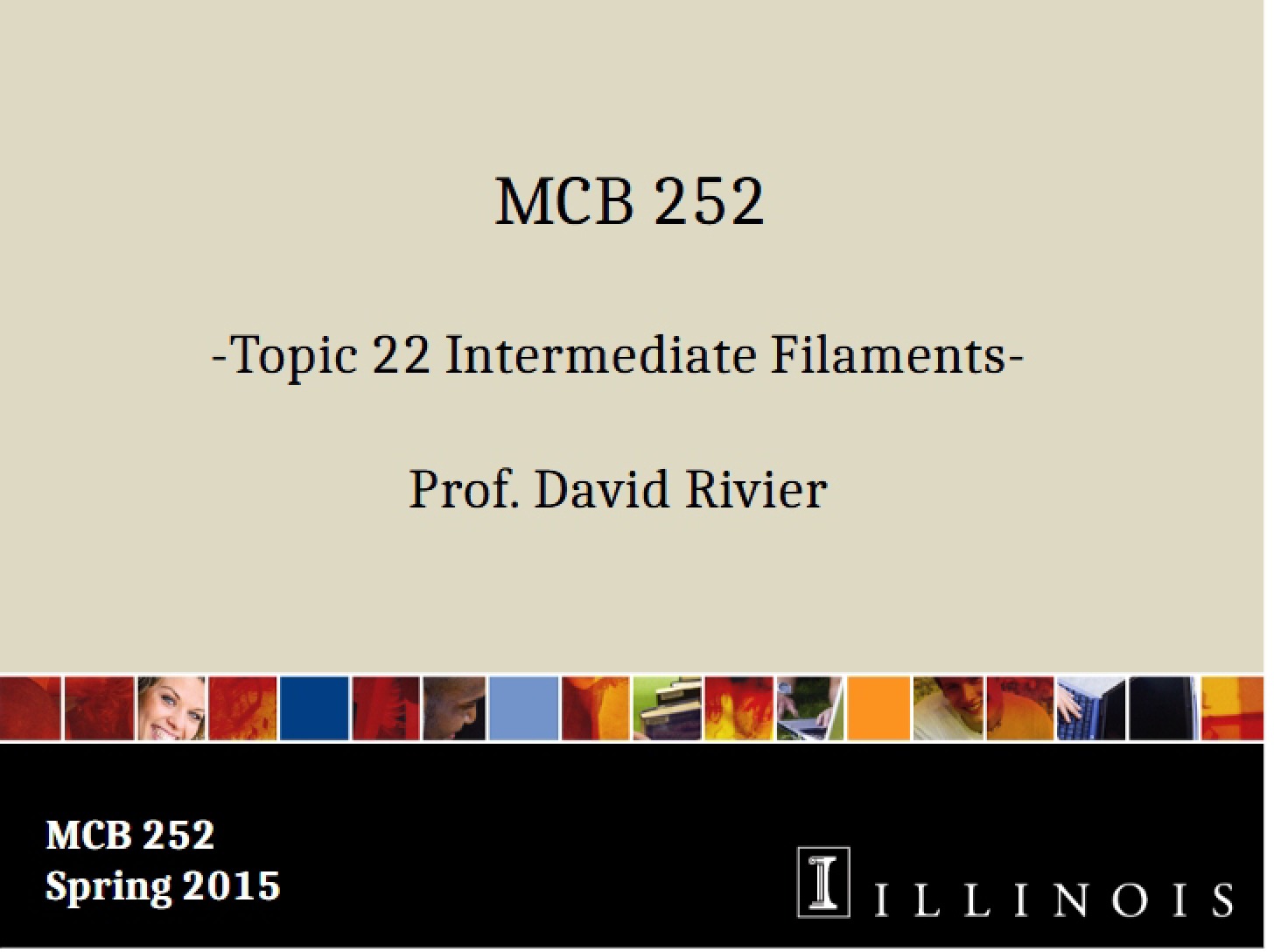Filaments Intermediate