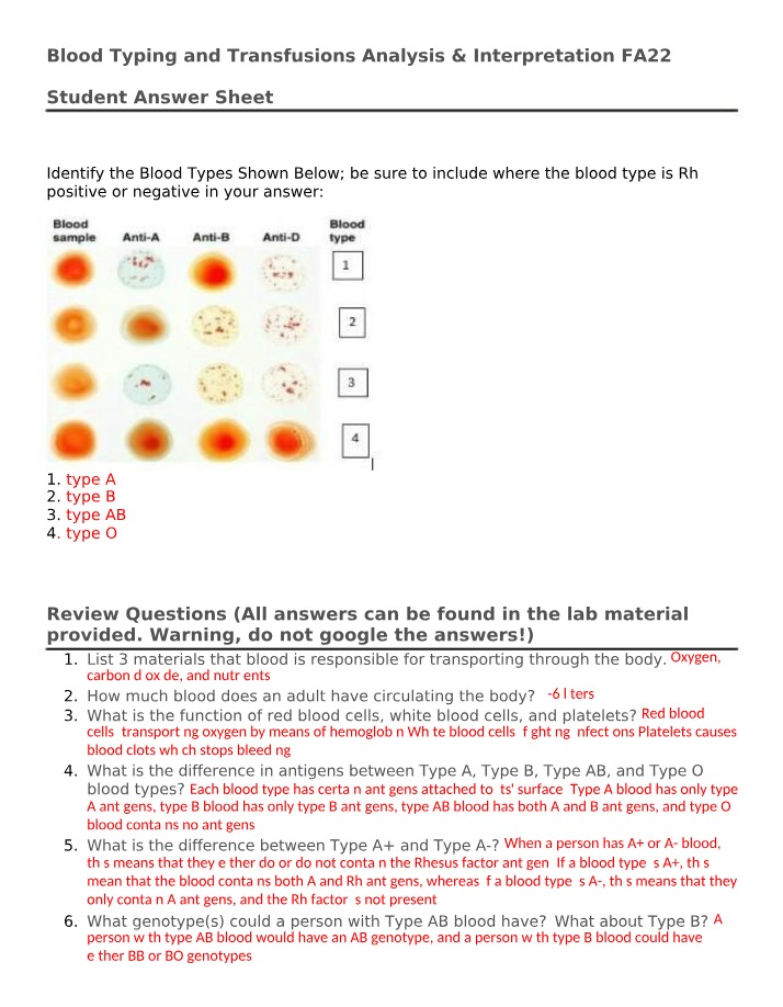 Blood Typing and Transfusions Student Answer Sheet - FA22