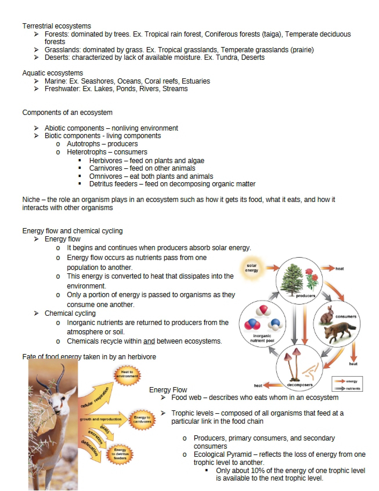 Land-Based Ecosystems