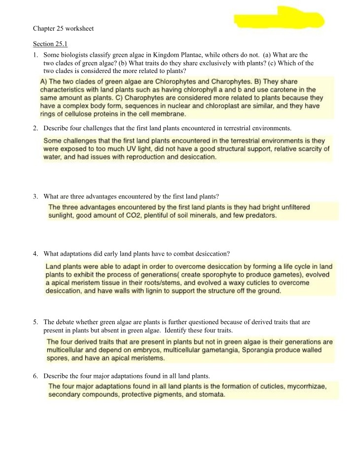 Worksheet for Chapter 25