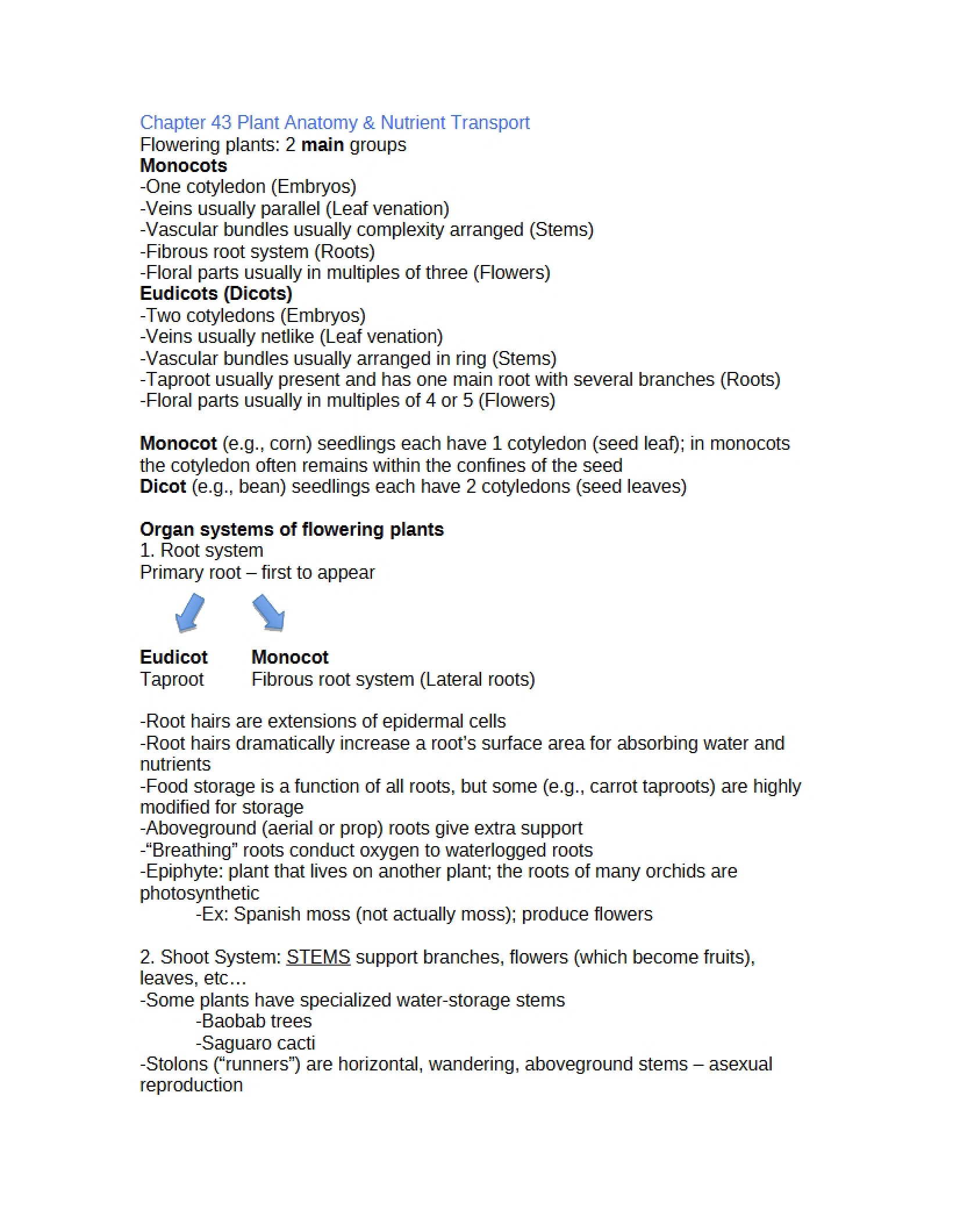Anatomy of Plants (Ch 43)
