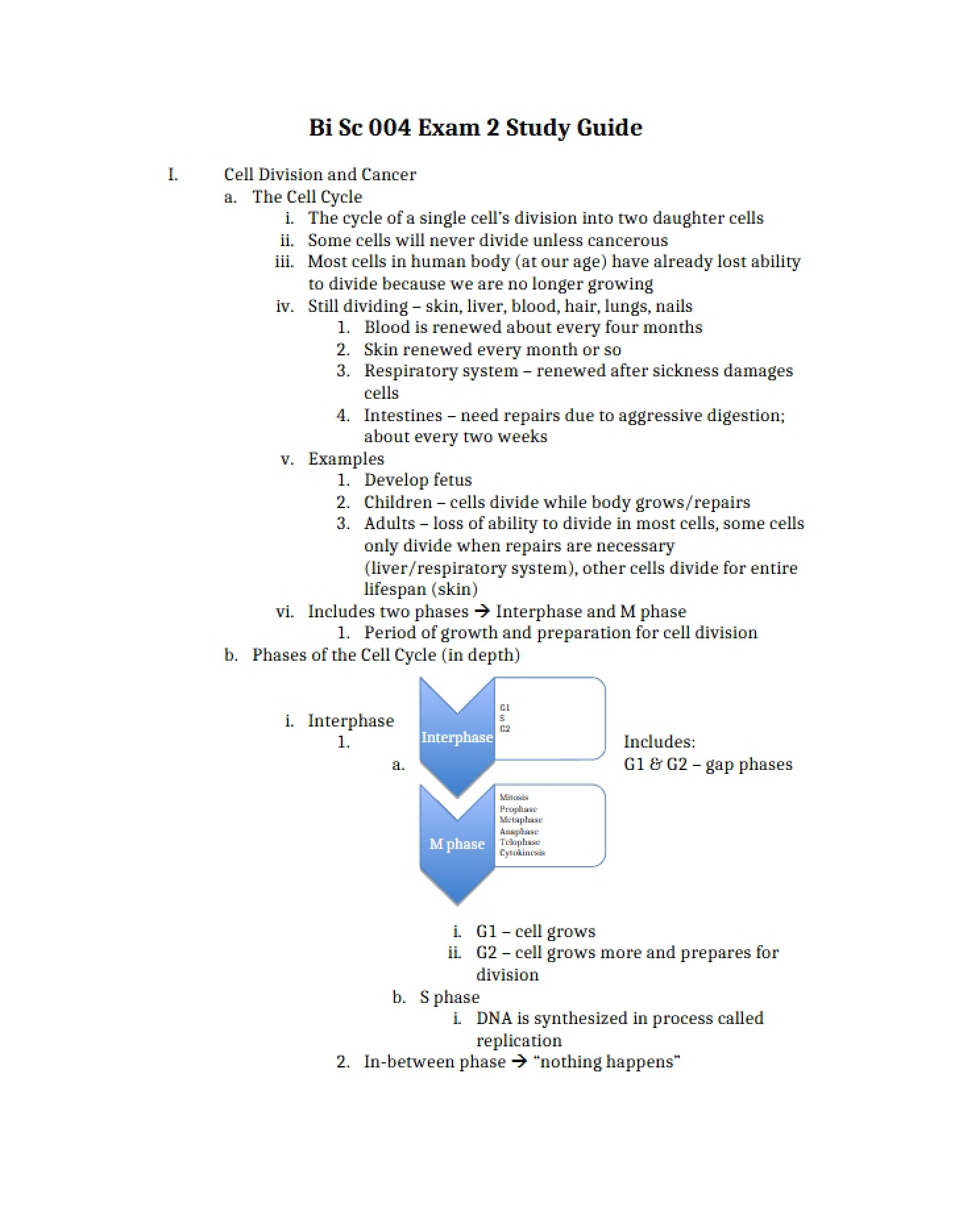 Oncology and Cellular Division
