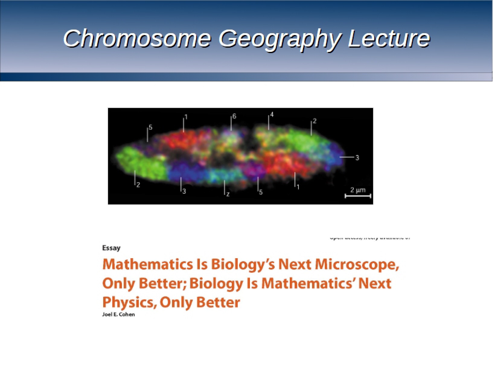 Lecture on Chromosome Geography