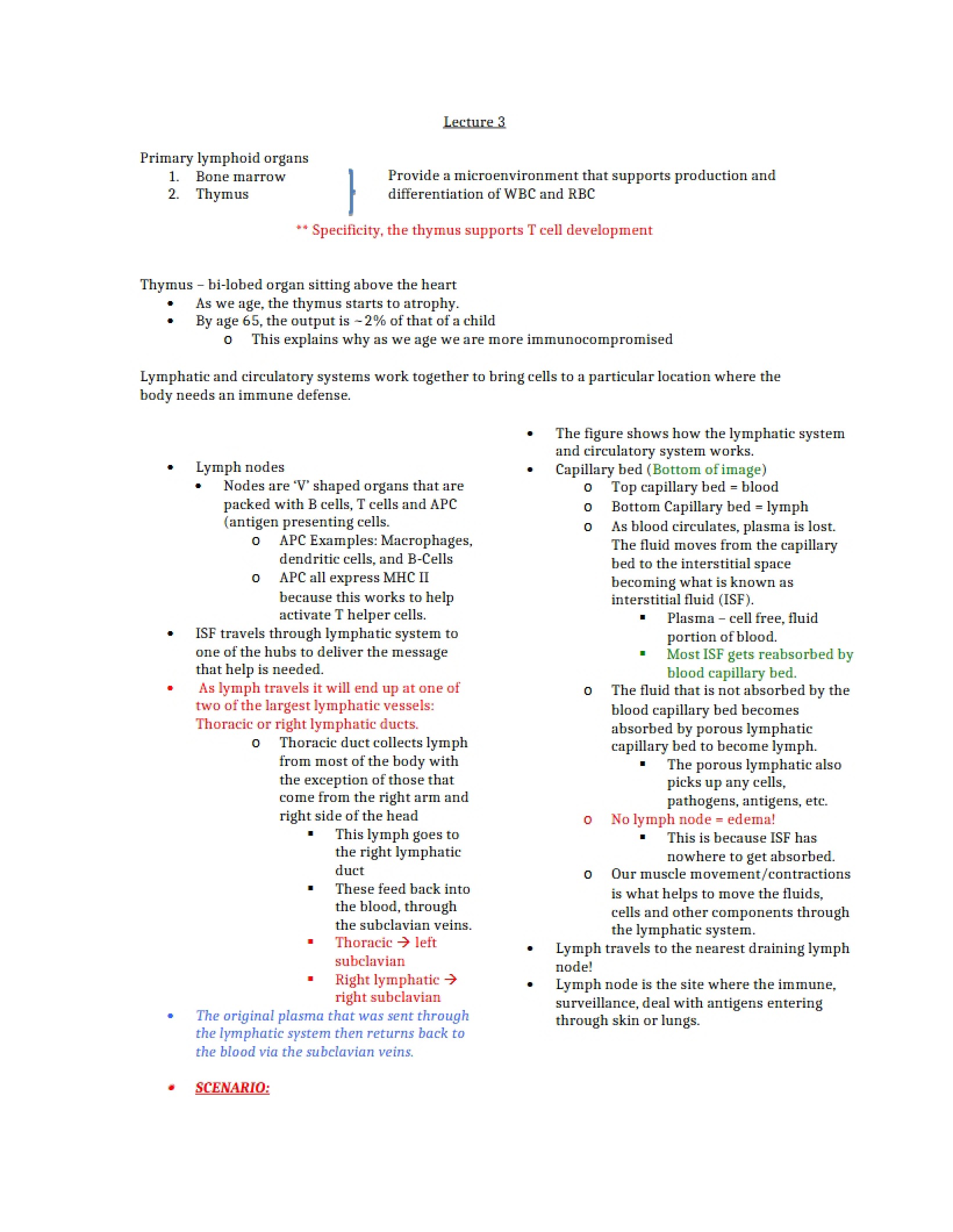 Organs of the Primary Lymphoid