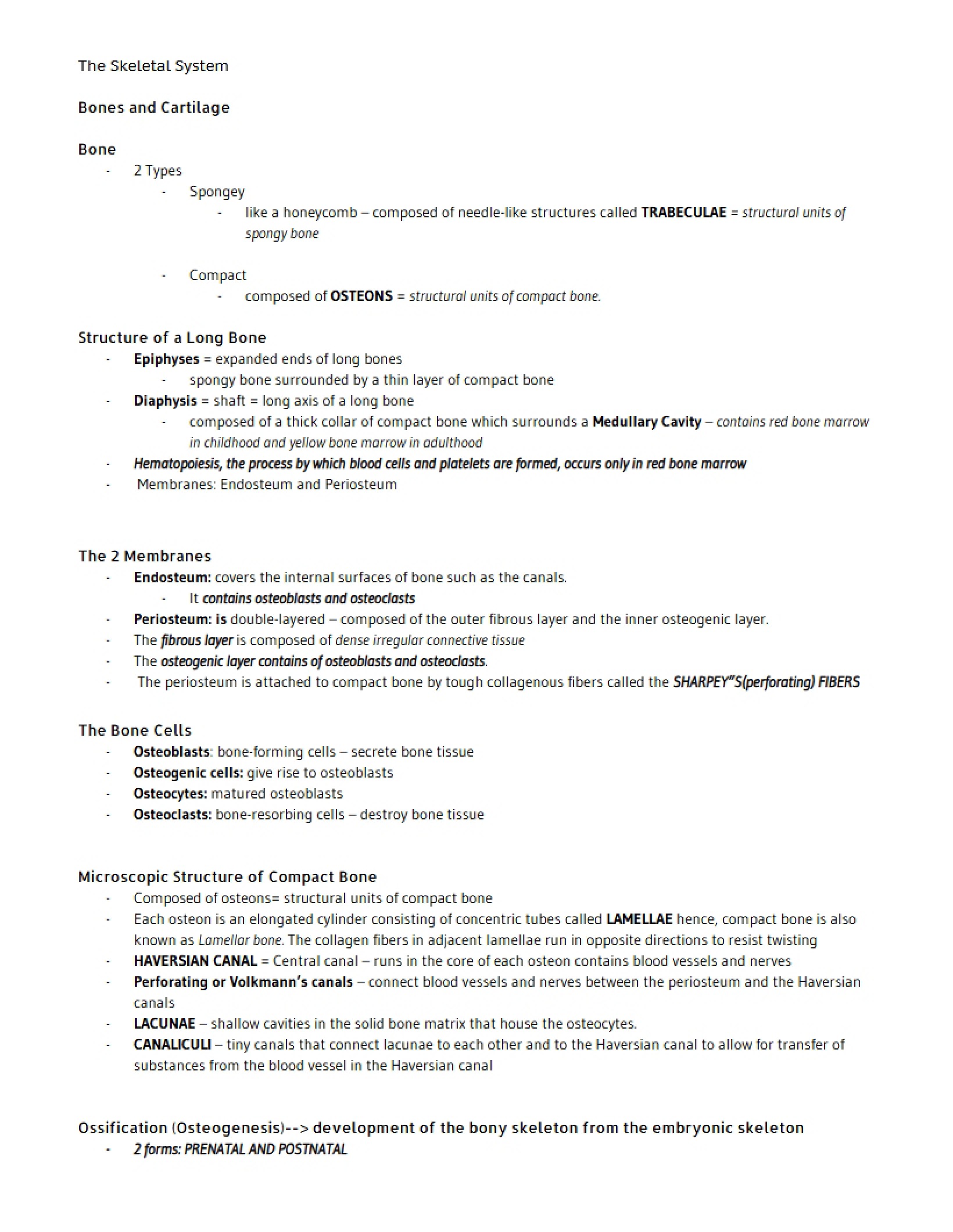 Skeletal System Overview