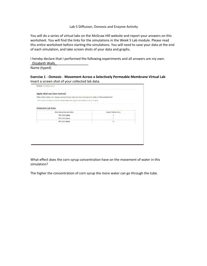 Diffusion, Osmosis and Enzyme Activity Virtual Lab Worksheet - Lab 5