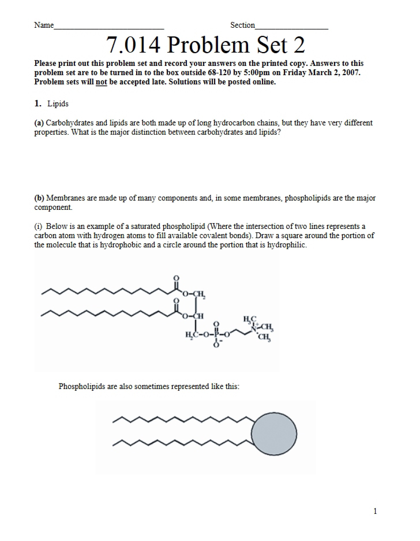 Assignment Set 2