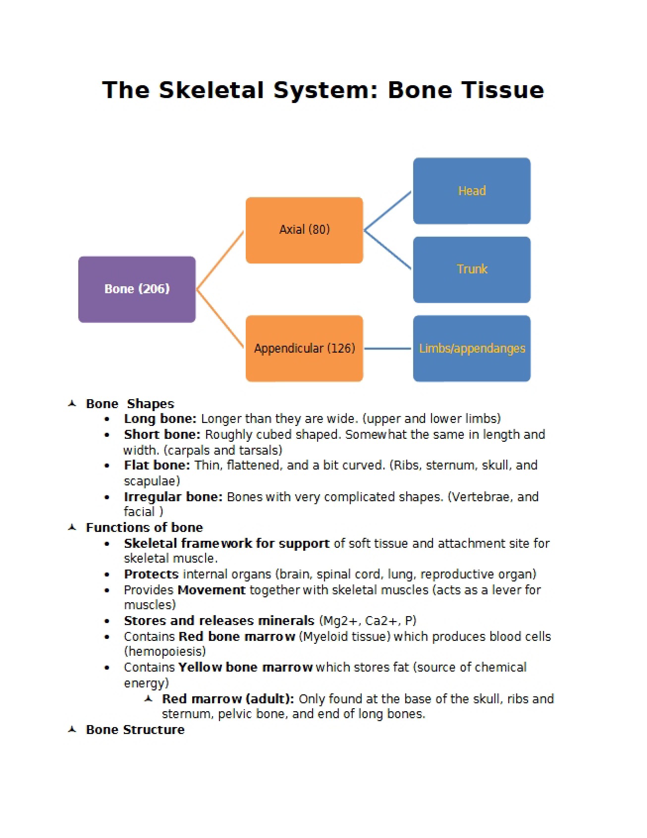 Bone Tissue and the Skeletal System