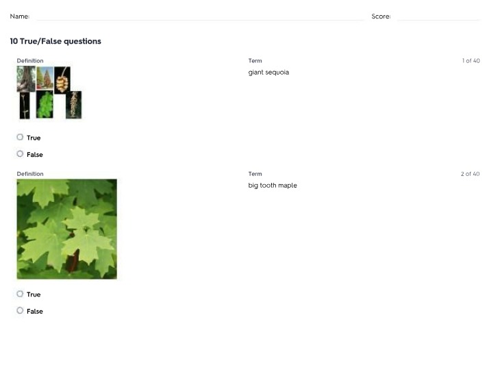 Tree Identification Quiz - True-False, Multiple Choice, and Matching