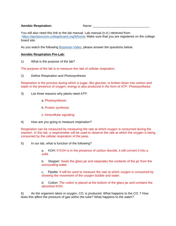 Cellular Respiration in Multicellular Organisms - Factors Affecting