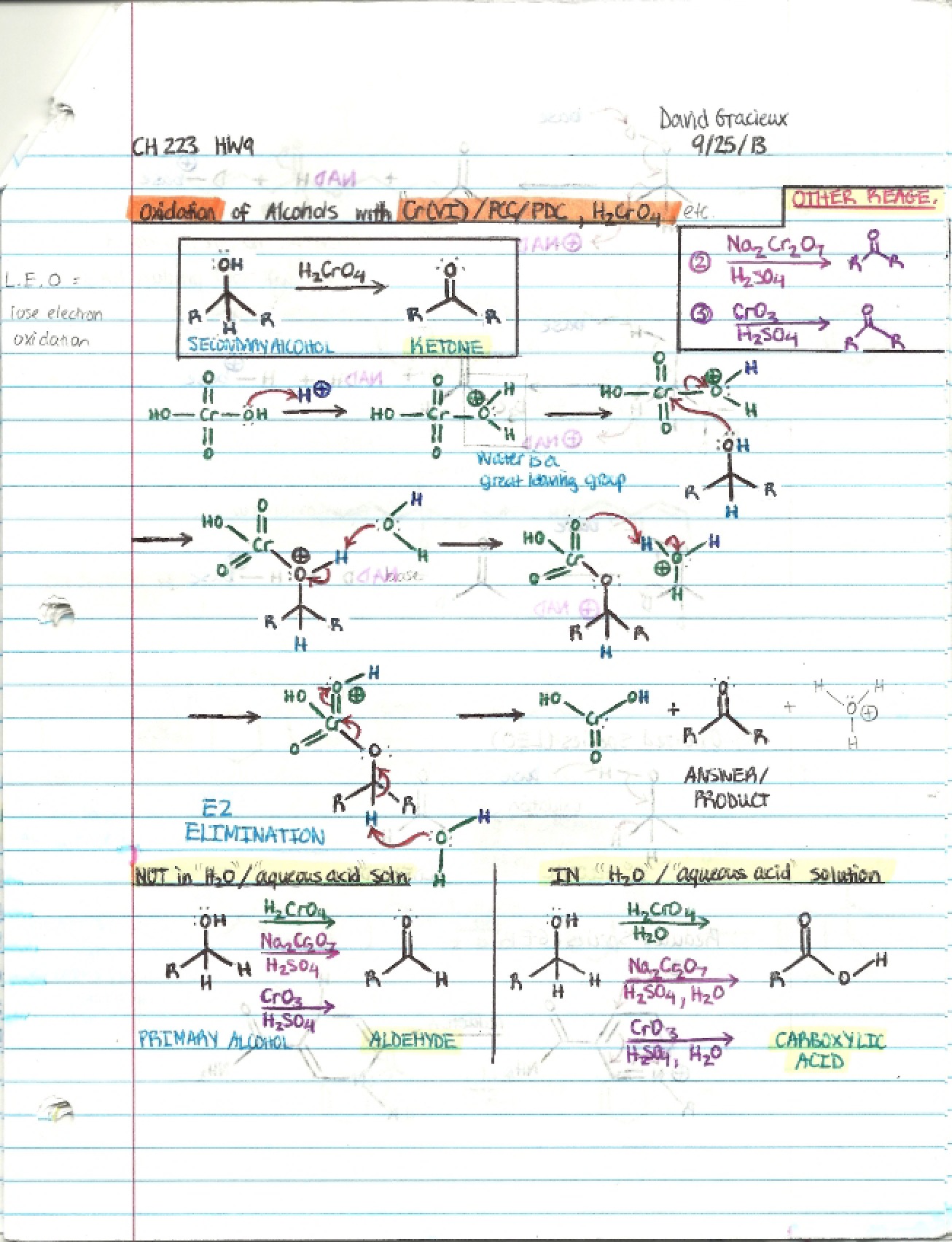 Organic Chemistry II Class Notes (13)