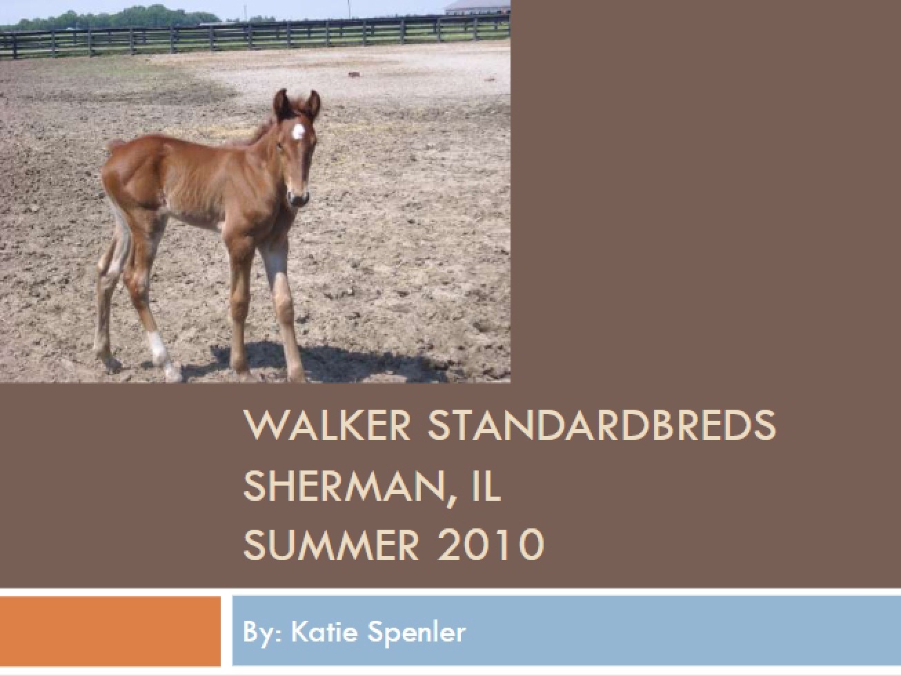 Detailed Description of the Farm Internship Site