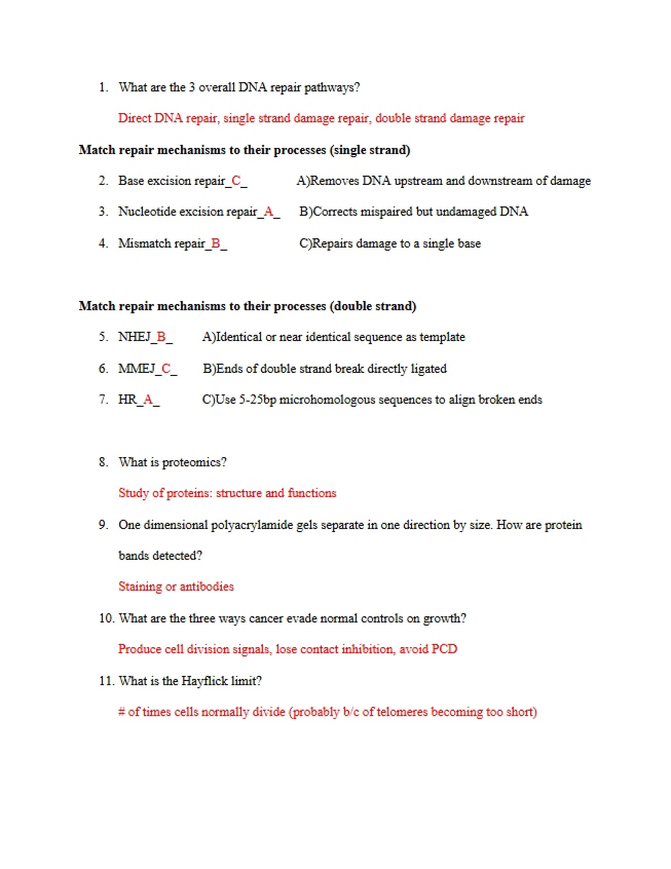 Summer Answers Worksheet 11