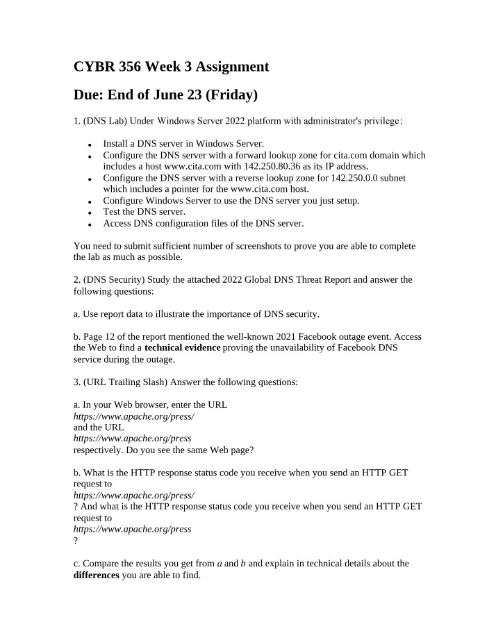 CYBR 356 - DNS Lab
