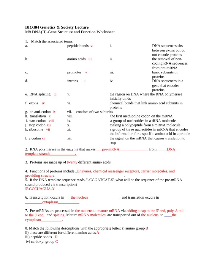 DNA(II) worksheet - gene structure and function