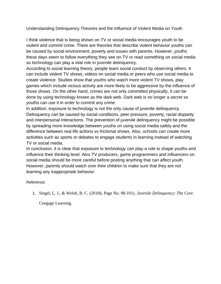 Delinquency Theories and Media Influence on Youth