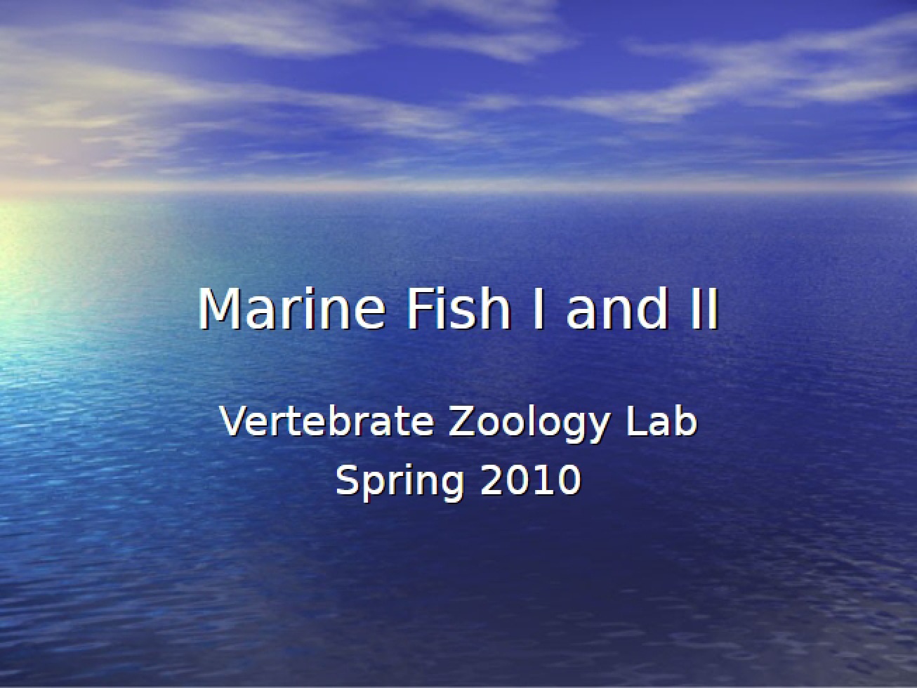 Lab Marine Fish I & II