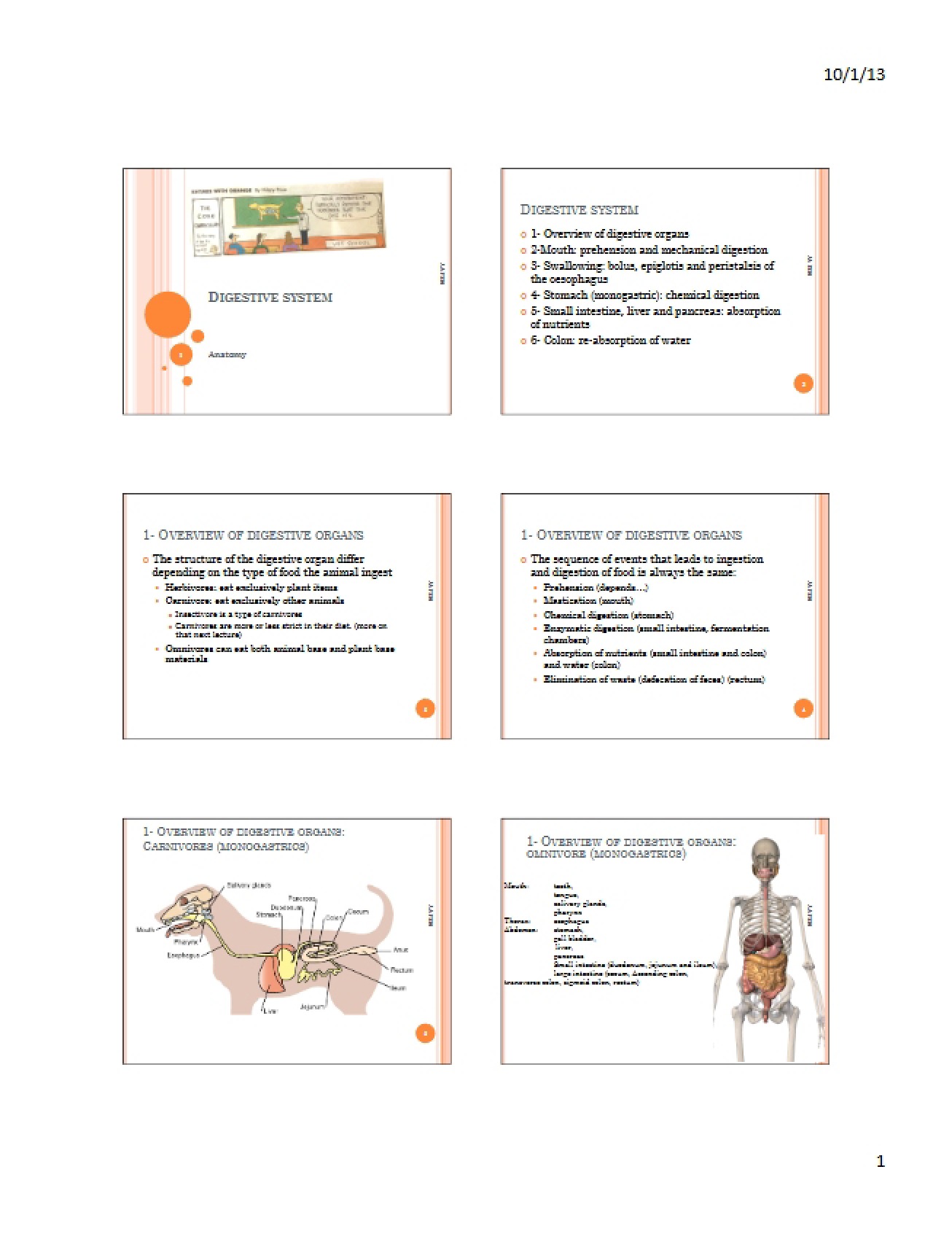 Section 6p Documents