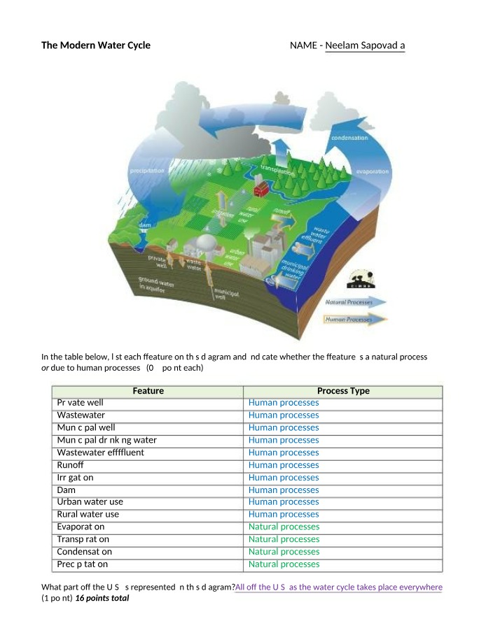 Diagram and Explanation of the Modern Water Cycle