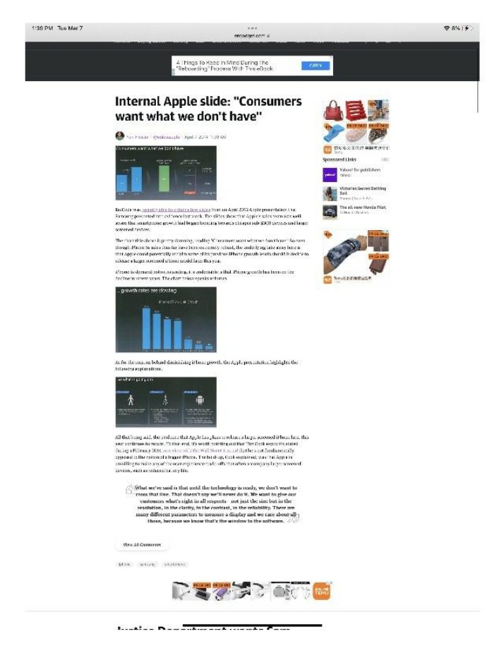 Internal Apple Slides on Consumer Wants