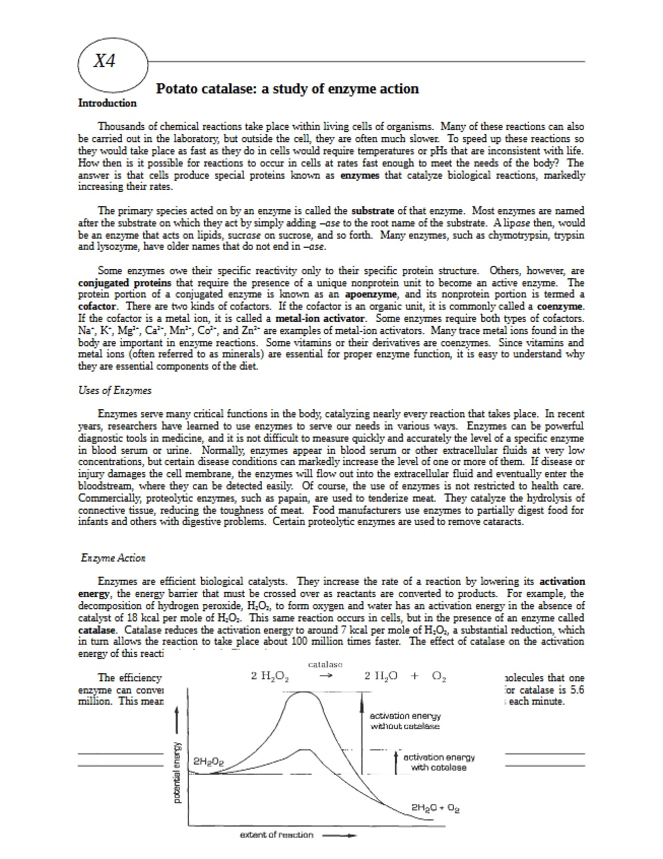 Enzyme Action Study Potato Catalase