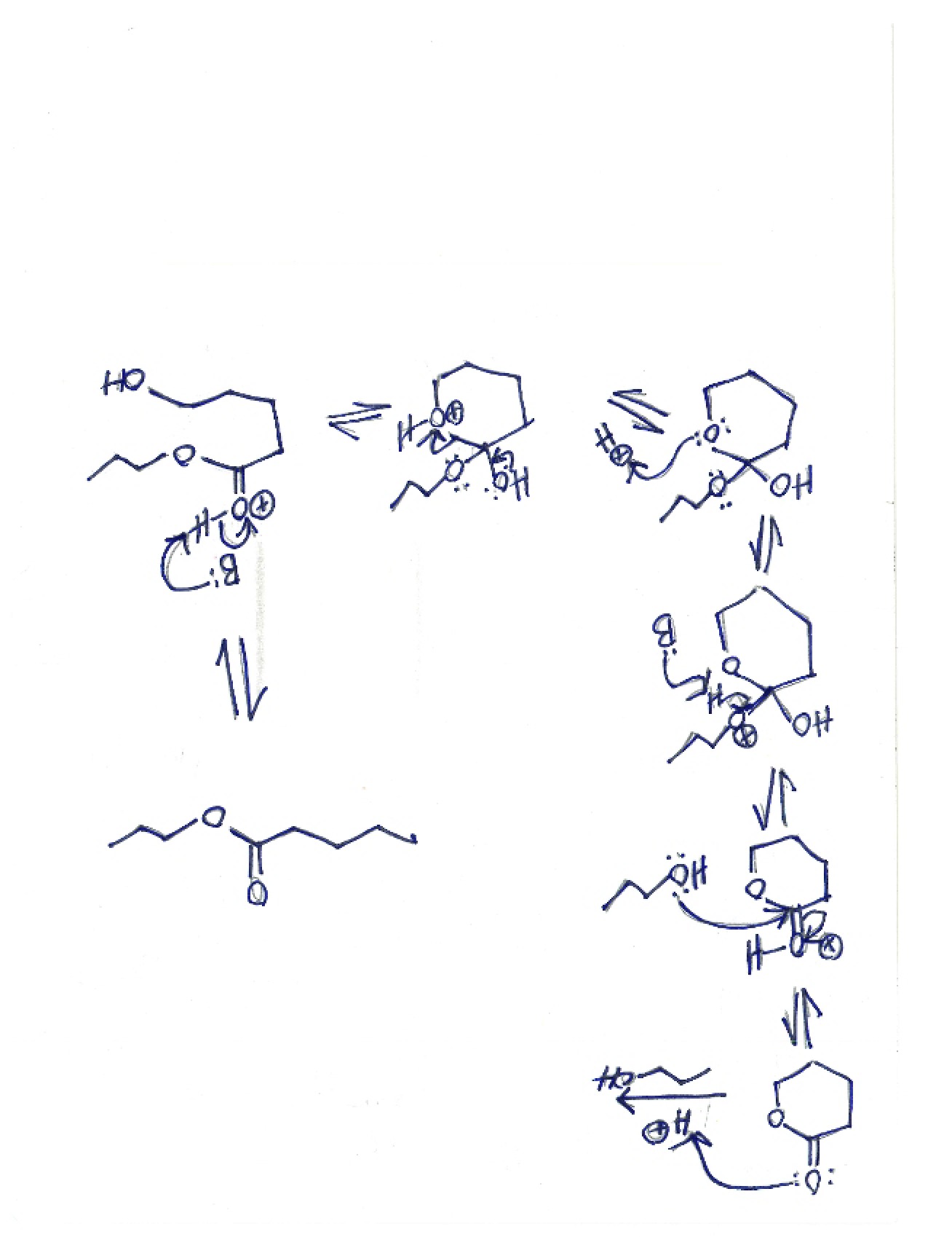 Class Lecture Notes
