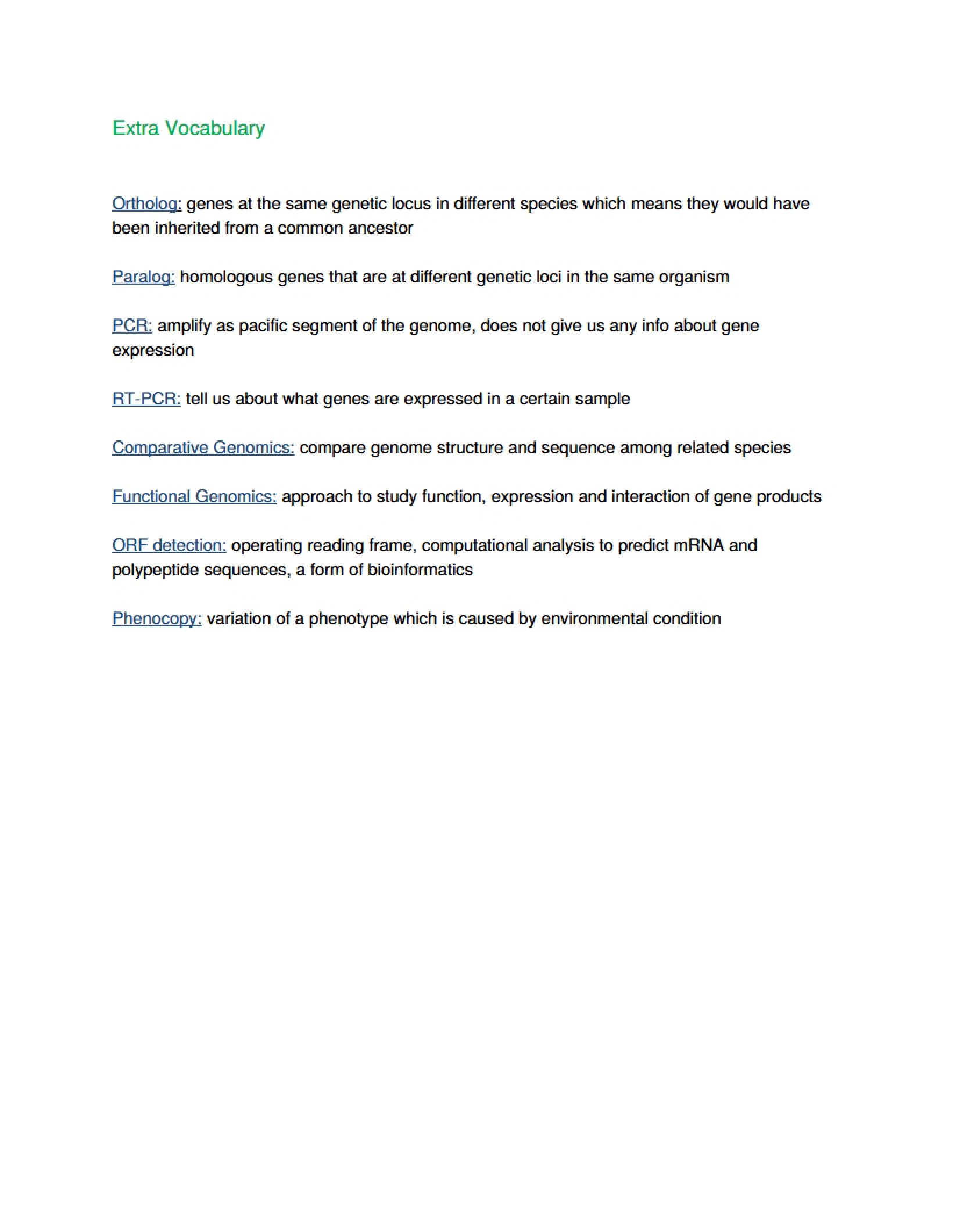 Vocabulary Extras