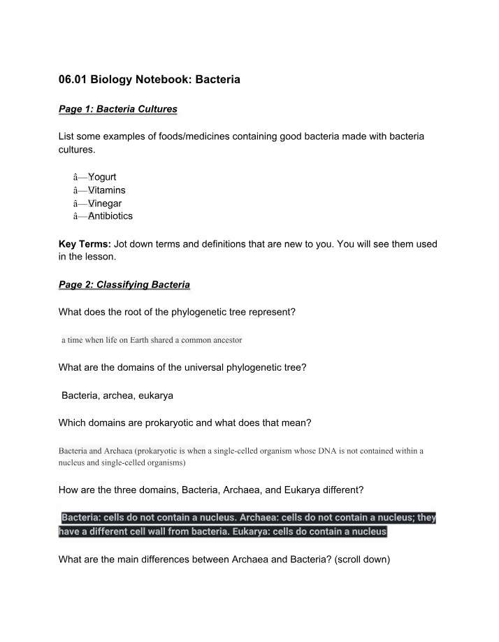 Good Bacteria Cultures - Foods and Medicines Examples