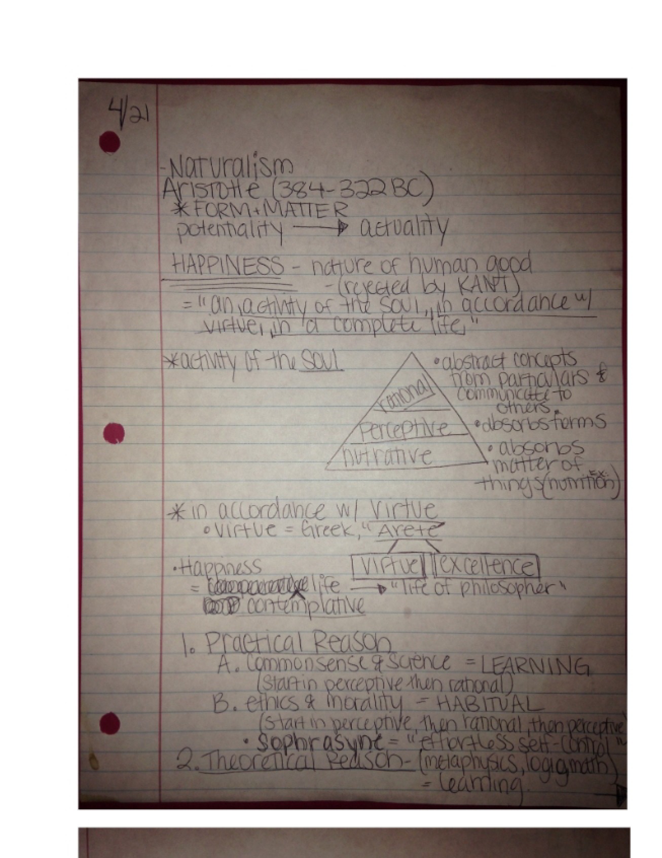 Philosophy Notes